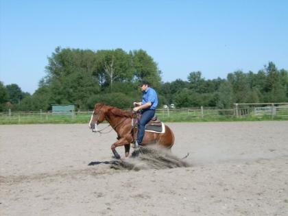 Westernreiten Unterricht-Training-Beritt