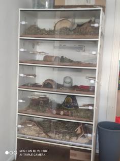 2 Degus zu verkaufen, mit und ohne Käfig