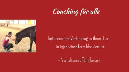 Vom Problem zur Freiheit durch absolute Verbundenheit