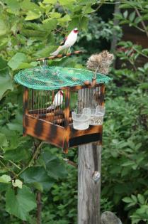 Vogelfalle, Kombifalle, Lebendfalle, BirdTrap, Schlagnetz, Falle,