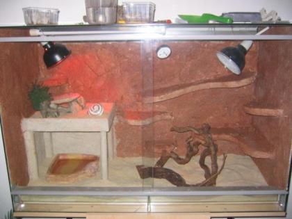 Terrarium 3 leos