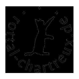 Chartreux / Kartäuser Kätzchen