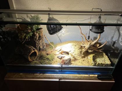 Terrarium Komplett