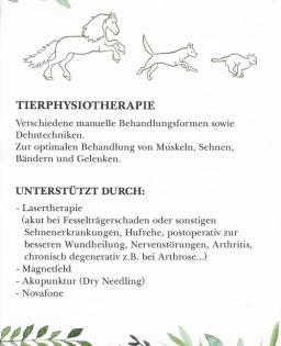 Tierphysiotherapie und Naturheilkunde Hund Katze Pferd