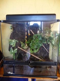 Exo-Terra Terrarium Ansehen lohnt