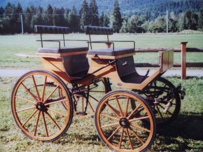 Kühnle Jagdwagen super Zustd. Kutsche Pferdekutsche Pferde