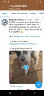 Wem dürfen wir treu zur Seite stehen