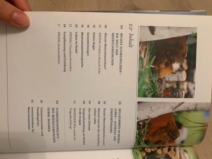 Meerschweinchen Ratgeber, Tierbuch