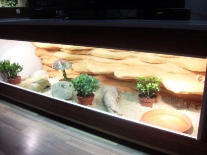 Wunschterrarien nach Maß