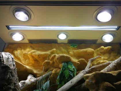 Terrarium 150x70x90 inkl. Schrank, Rückwand Beleuchtung