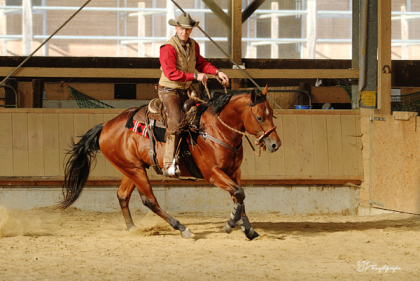Westerntraining Beritt
