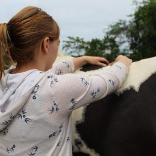 Mobile Tierphysiotherapie