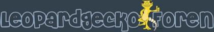 WWW. LEOPARDGECKO-FOREN. DE - wir sind wieder da -
