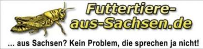 Futterinsekten ab 1, 15Euro/Dose