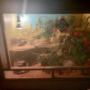 Verkaufe Terrarium 120x80x80cm mit zubehör