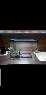 2 sehr schöne Aquarien viel Zubehör