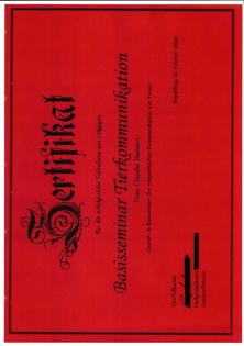 Tierkommunikation / Quantenheilung / Energiearbeit