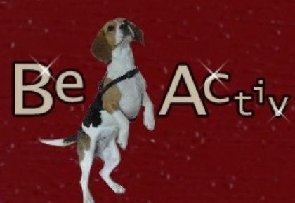 Beagleactiv. de Das BeagleForum