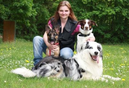 Hundetraining, einzel und gruppenunterricht, welenstunde, sozialisierung, themenabe