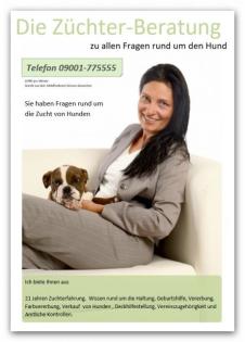 Ihre Hunde-Hebamme Direkt am Telefon, Hunde-Züchter-Beratung