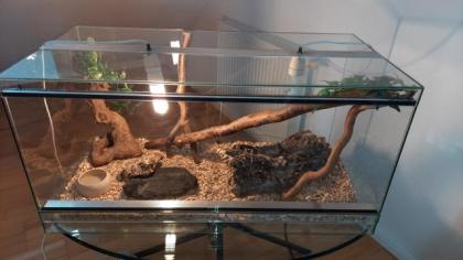 Reptilien-Terrarium