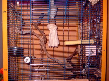 Vogelvoliere
