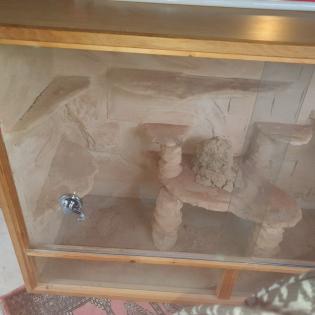 Terrarium mit viel zubehör