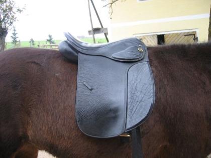 Champion Rider Sattel