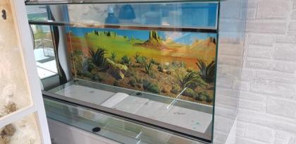 Glasterrarium 120 x 50 x 60 BxTxH