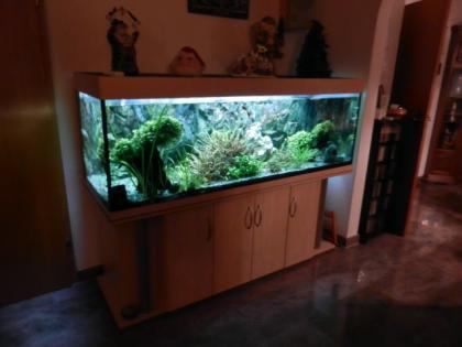 Aquarium 180/60/60 cm inkl. kpl. Zubehör Eheim Prof. 3, UV-Klärer, neuem Kies,