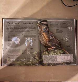 Tiere Tierbuch Lexikon neu Sachbuch
