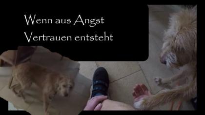 Vom Problem zur Freiheit durch absolute Verbundenheit