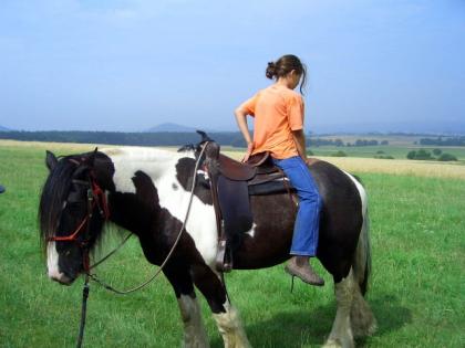 Podium Wanderreitsattel - Westernsattel