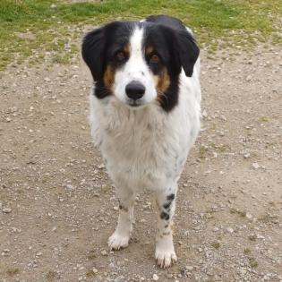 Margarita / Status sucht ein Zuhause