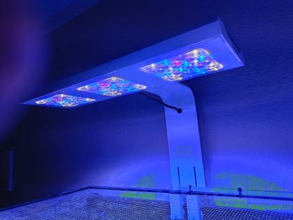 Meerwasseraquarium 750l
