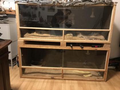 3 Boa constrictor Terrarien