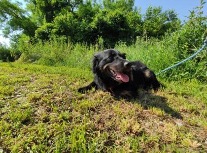 DJ Bobo. liebt es im Garten zu laufen
