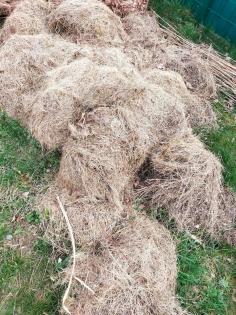Getrocknetes Gras/ stroh/Tiernahrung