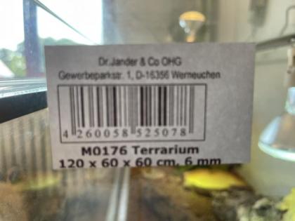 Bartagame mit Terrarium