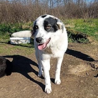 Ellie sucht ein Zuhause