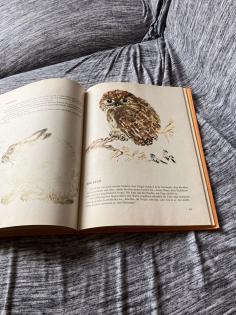 Tierbuch für Kinder zum Vorlesen Raduga-Verlag Moskau