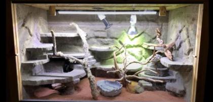 Massivholz Terrarium mit Felsrückwand