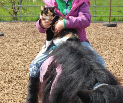 Kid s Kurs Pferdecamp, Reiterferien