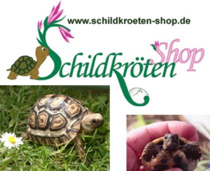 SCHILDKRÖTEN SHOP Zubehör Versand