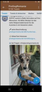 Wem dürfen wir treu zur Seite stehen