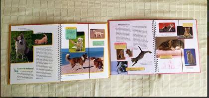Kinder Buch, Kinderbuch, Tierbuch-Tierkinder Bibliothek, Hund Katze