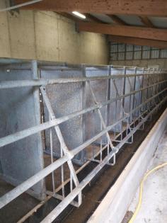 Schweine Aufstallung Kastenstände