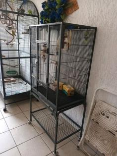 Zwei grosse Vogel Voliere mit 5 gesunde Wellensittiche
