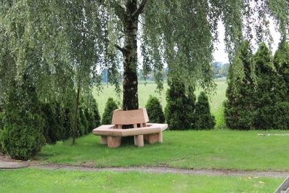 Baumbank. Gartenbank. Hochzeitsgeschenk.
