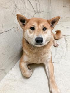 Imako sucht ein Traumzuhause